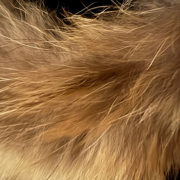 Like New Canada Goose Women’s Victoria Dark Navy Ski Parka with Detachable Fur - Picture 11 of 12